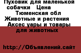 Пуховик для маленькой собачки › Цена ­ 1 000 - Тюменская обл. Животные и растения » Аксесcуары и товары для животных   